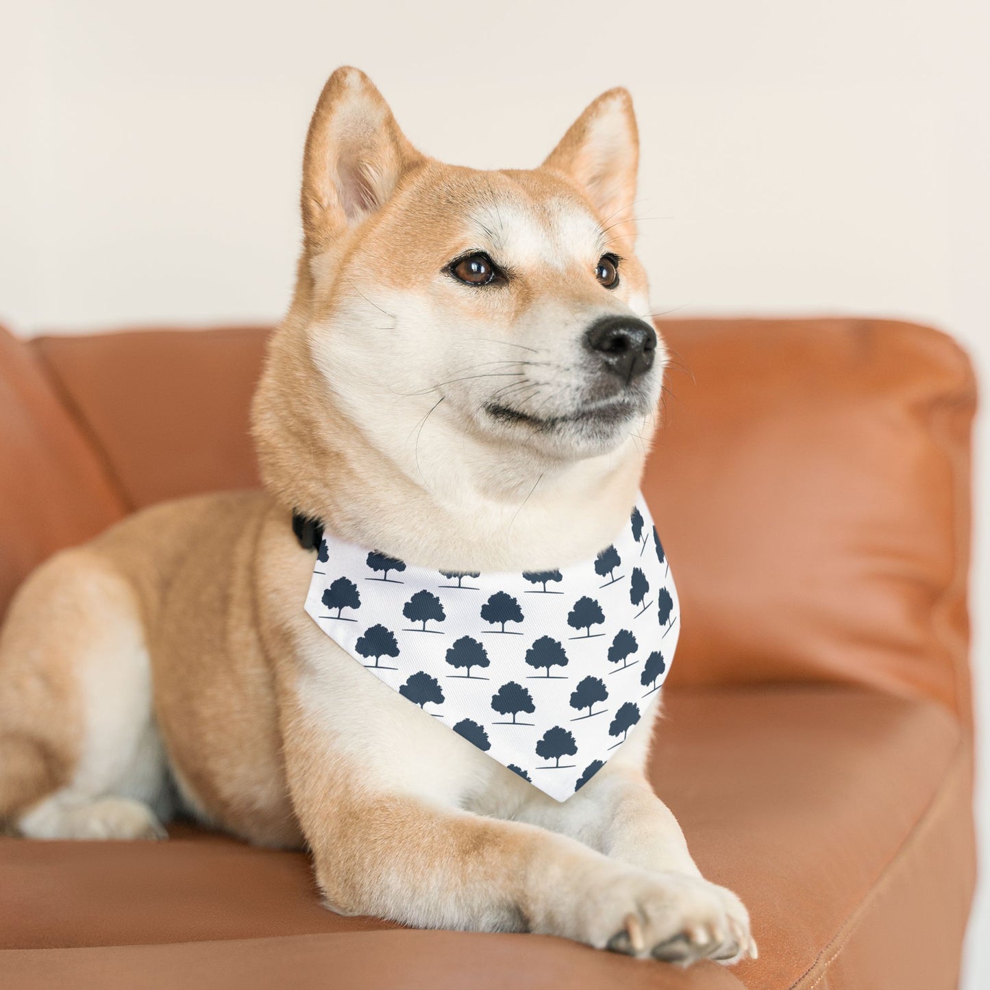 SWG Pet Bandana Collar