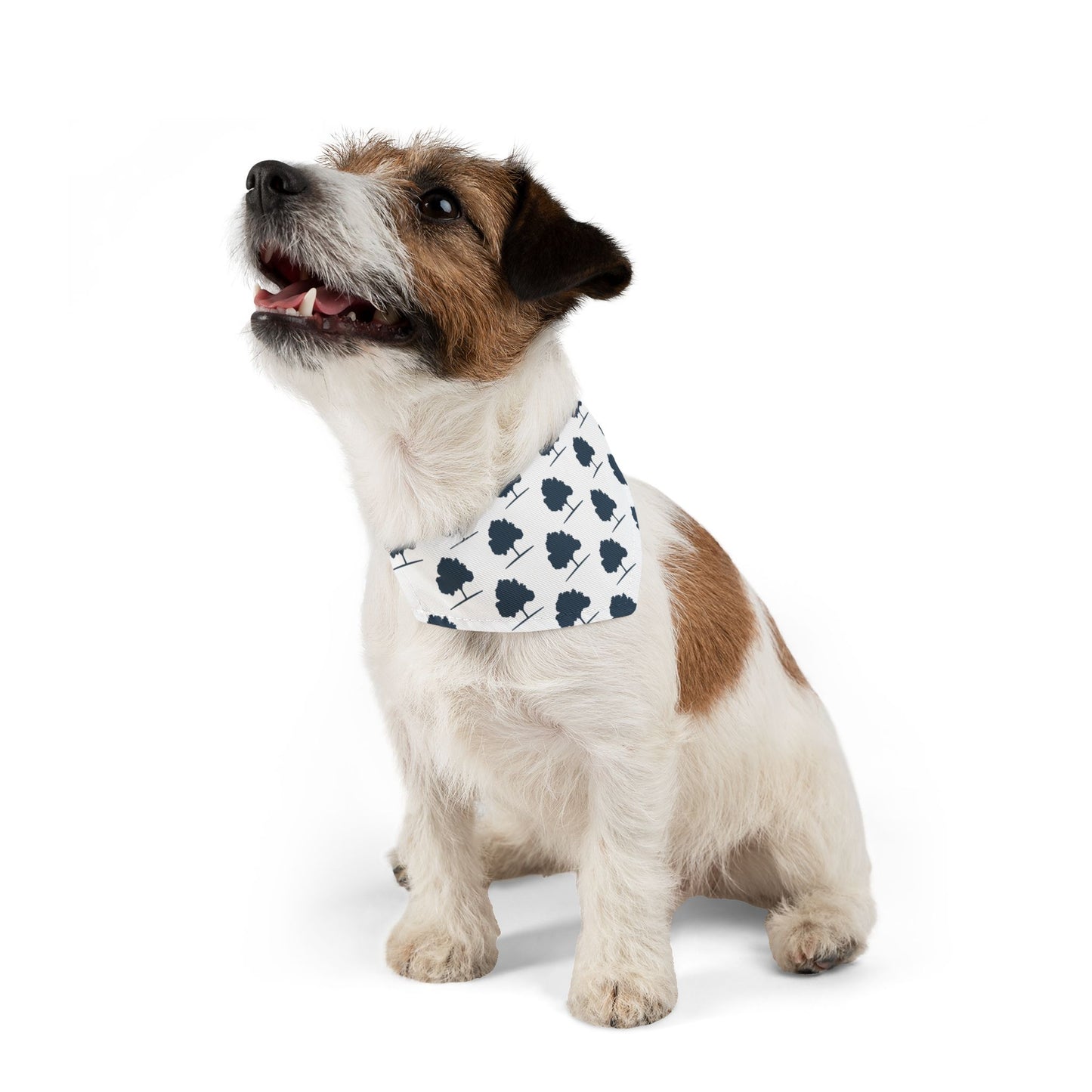 SWG Pet Bandana Collar