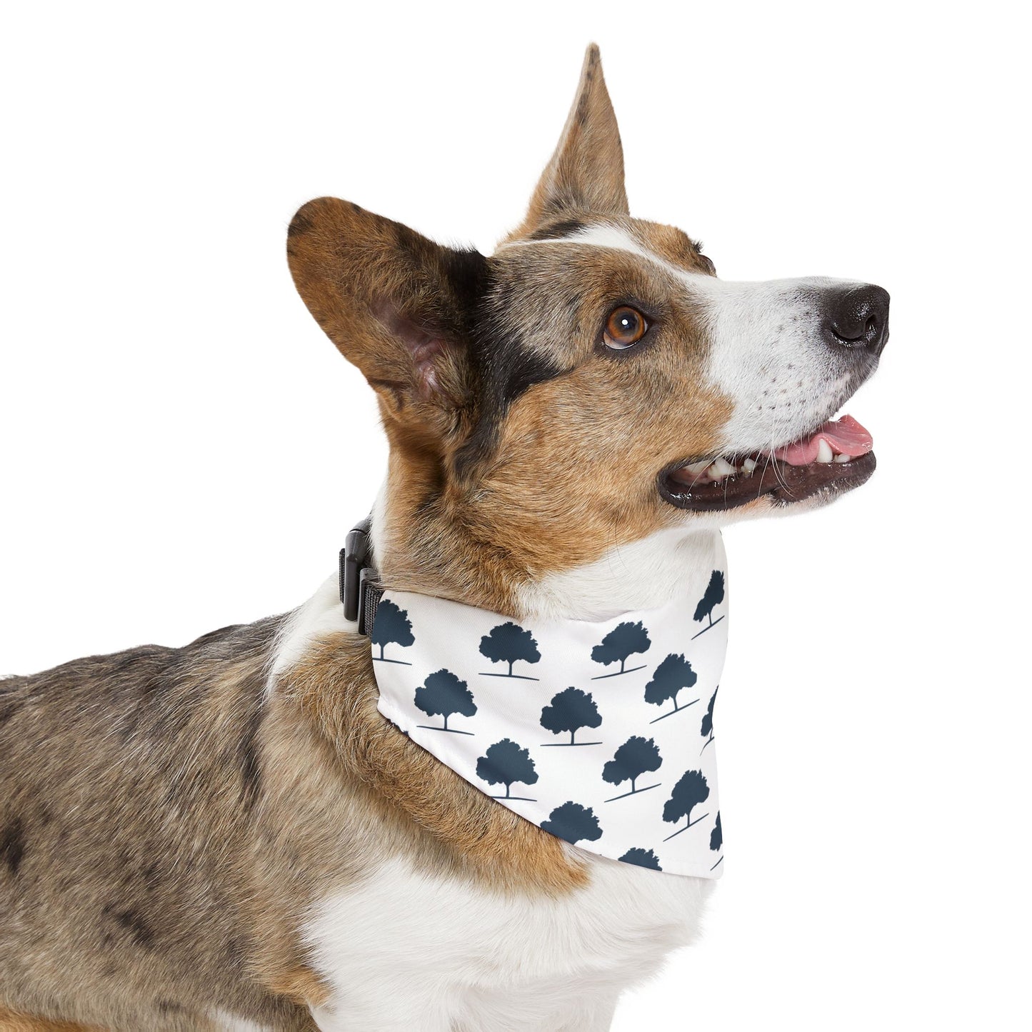 SWG Pet Bandana Collar