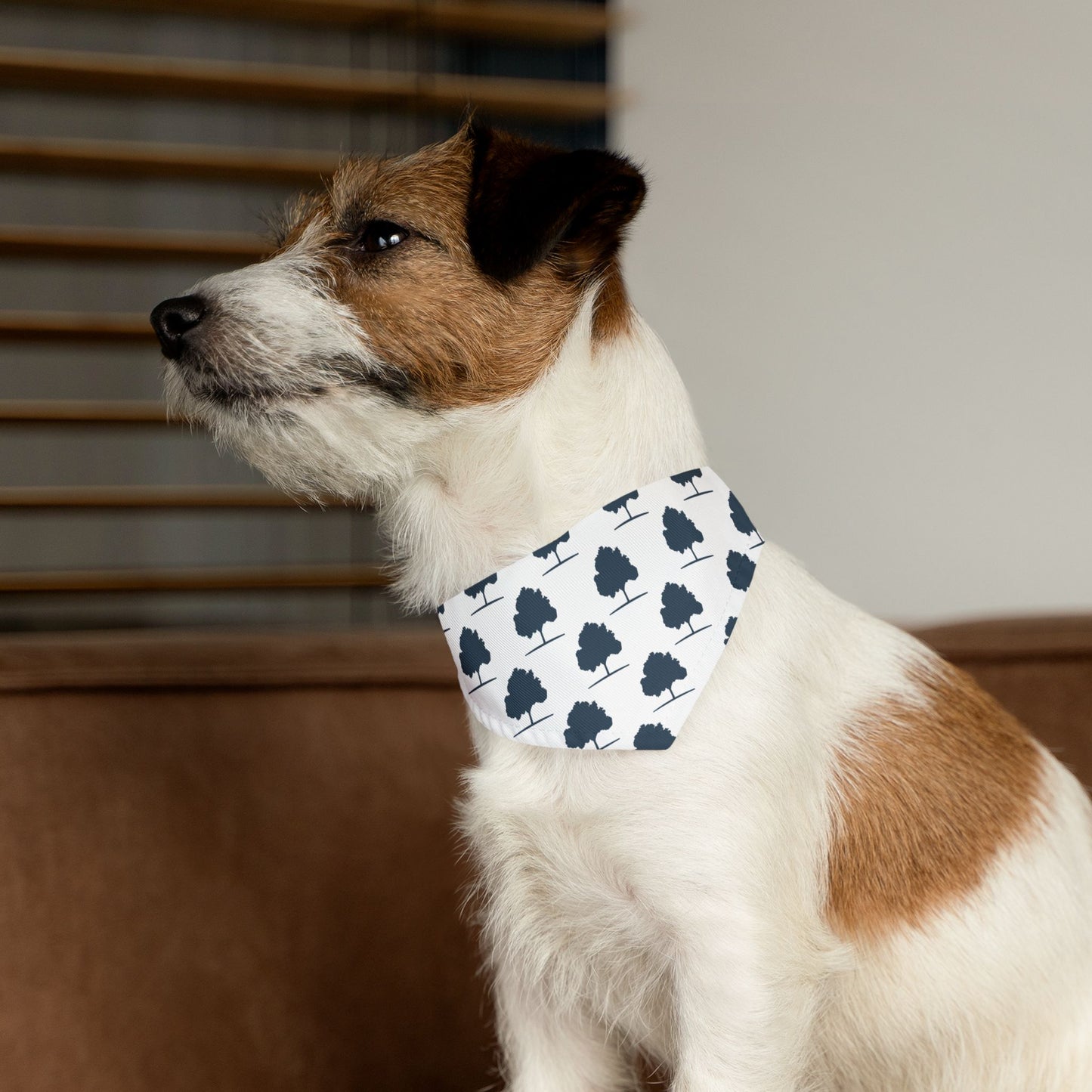 SWG Pet Bandana Collar